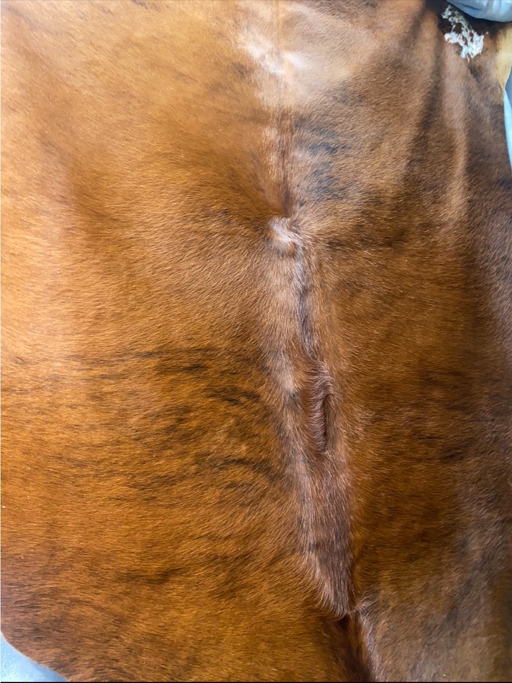 Cowhide rugs